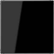 Blind-Abdeckung sw kompl.mit Tragring LS 994 B 