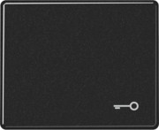 Wippe Symbol TÜR sw für Taster SL 590 T 