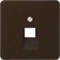 morepic-1