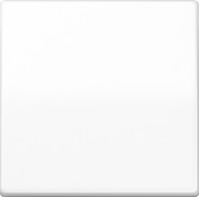Wippe aws für Taster AS 591 WW 