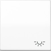 Wippe Symbol LICHT aws für Taster AS 591 L WW 