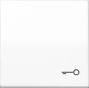 Wippe Symbol TÜR aws für Taster AS 591 T WW 