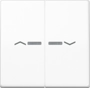 Wippe Symbole/Lichtl.aws für Taster AS 591-5 KO5P WW 