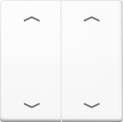 Wippe Symbole aws für Taster AS 591-5 MP WW 