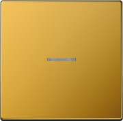 Wippe Lichtleiter go24K. für Schalter/Taster LS 990 KO5 GGO 
