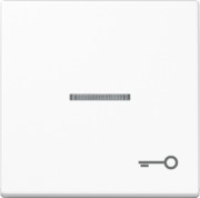 Wippe Symbol TÜR aws für beleuchtb.Taster A 590 KO5 T WW 