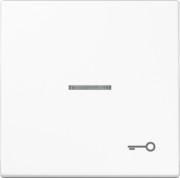 Wippe Sym.TÜR/Lichtl.aws für beleuchtb.Taster LS 990 KO5 T WW 