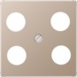 morepic-1