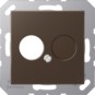 morepic-1
