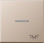 morepic-1