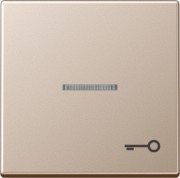 Wippe Symbol TÜR champ für beleuchtb.Taster A 590 KO5 T CH 