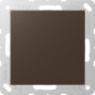 morepic-1