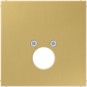 morepic-1