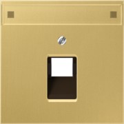 Abdeckung Mess/clas f.IAE/UAE-/Datendose ME 2969-1 NAUA C 