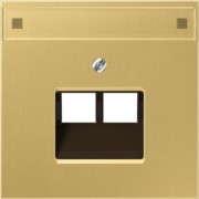 Abdeckung Mess/clas f.IAE/UAE-/Datendose ME 2969-2 NAUA C 