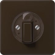 Abdeckung für Drehschalter CD 1541 BR 