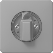 Abdeckung für Drehschalter CD 1541 GR 
