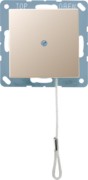 Zugwechselschalter 10 AX champagner A 506 BF NUZ CH 