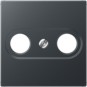morepic-1
