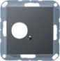morepic-1