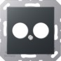 morepic-1