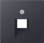 morepic-1