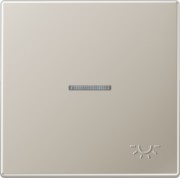 Wippe geprägtes Symbol Licht edelstahl ES 2990 KO5 LP 