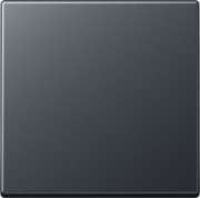 Steuertaste Standard A 1700 BF ANM 