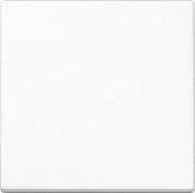 Steuertaste Standard A 1700 BF WW 