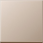 Steuertaste Standard A 1700 CH 