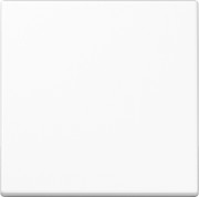 Steuertaste Standard A 1700 WW 