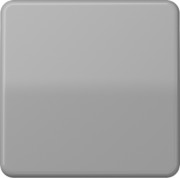 Steuertaste Standard CD 1700 GR 