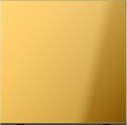 Steuertaste Standard GO 1700 