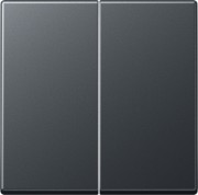 Wippe f.Serientaster A 102 BF ANM 