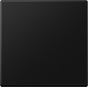 Steuertaste Standard A 1700 BF SWM 