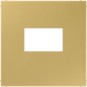 morepic-1