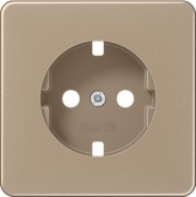 Platte f.SCHUKO Steckdose CD 1520 PL GB 