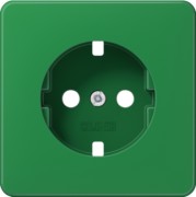 Zentralplatte f. SCHUKO-Steckdose CD 521 GN PL 