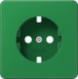 morepic-1