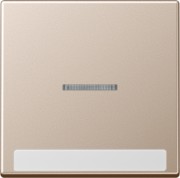 Wippe mit Schriftfeld 1fach champagner A 590 BF NA KO5 CH 