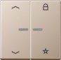 morepic-1