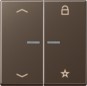 morepic-1