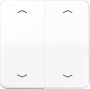 Wippe Symbole aws für Taster 2-fach CD 595 MP WW 