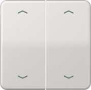 Wippe Symbole lgr für Taster 2-fach CD 595 MP LG 
