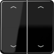 Wippe Symbole sw für Taster 2-fach CD 595 MP 