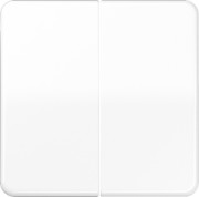 Wippe aws für Schalter/Taster CD 595 BF WW 