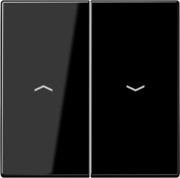 Wippe Symbole sw für Taster LS 995 P 