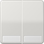 Wippe Schriftfeld lgr für Schalter/Taster CD 595 NA LG 