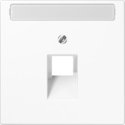 Abdeckung Schriftfeld aws für IAE/UAE-Dose LS 969-1 NAUA WW 
