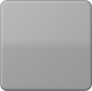 Wippe gr für Schalter/Taster CD 590 BF 